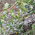 20170326_094611.jpg