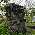 20170326_095139.jpg