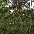 20170326_095838.jpg