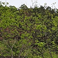 20170326_100153.jpg