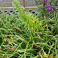 20170326_095927.jpg