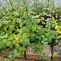20170326_100032.jpg