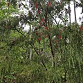 20170326_095842.jpg
