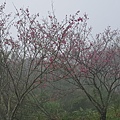 20170326_103326.jpg