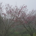 20170326_103328.jpg