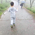 20170326_103625.jpg