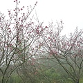 20170326_103343.jpg