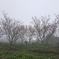 20170326_103757.jpg