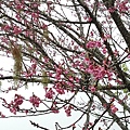 20170326_104242.jpg