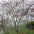 20170326_103903.jpg