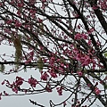 20170326_104237.jpg