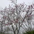 20170326_103914.jpg