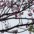 20170326_104330.jpg