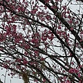 20170326_104246.jpg