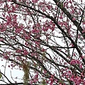 20170326_104251.jpg