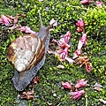 20170326_104627.jpg