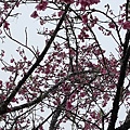 20170326_104439.jpg