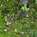 20170326_104411.jpg