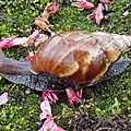 20170326_104723.jpg