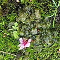 20170326_104415.jpg