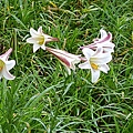 20170326_120516.jpg