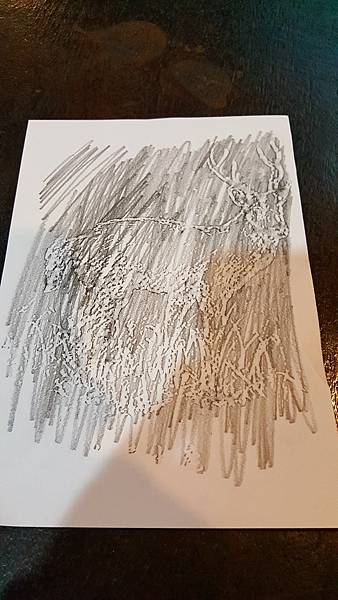 20170326_134837.jpg
