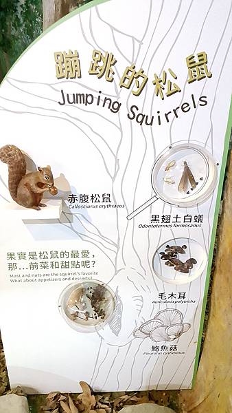 20170326_135136.jpg