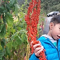1490510183038.jpg