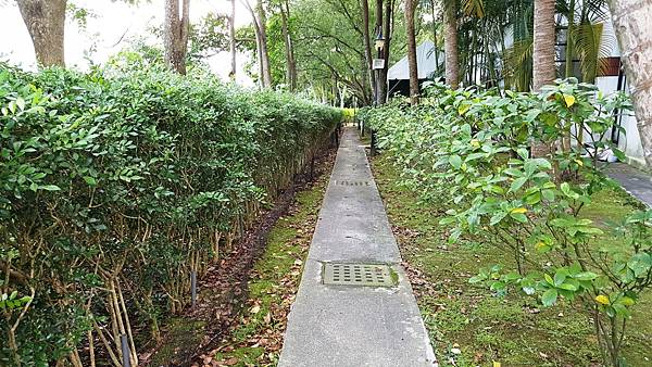 20170924_071857.jpg