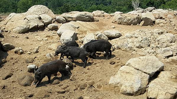 20170924_111411.jpg
