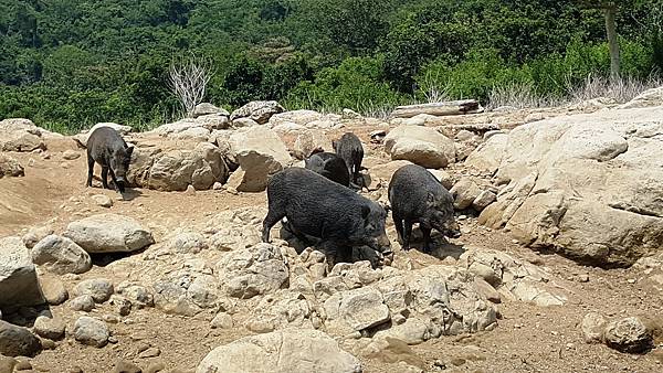 20170924_111548.jpg