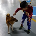 20170306_113218.jpg