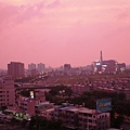 P1000554.JPG