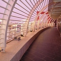 P1000557.JPG