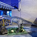 P1000579.JPG