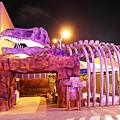 P1000590.JPG