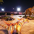 P1000593.JPG