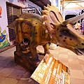 P1000604.JPG