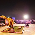 P1000618.JPG