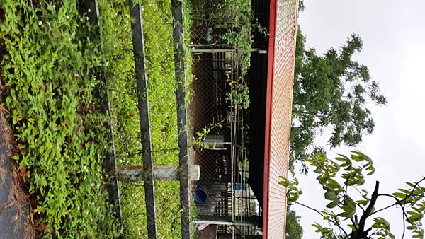 20170412_095132.jpg