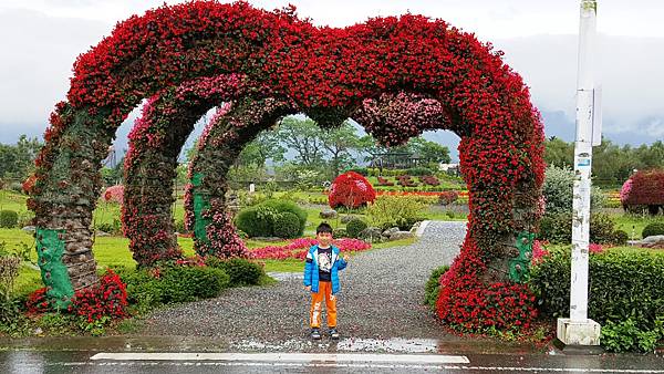 20170412_102050.jpg