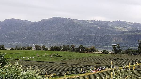 20171202_101154.jpg