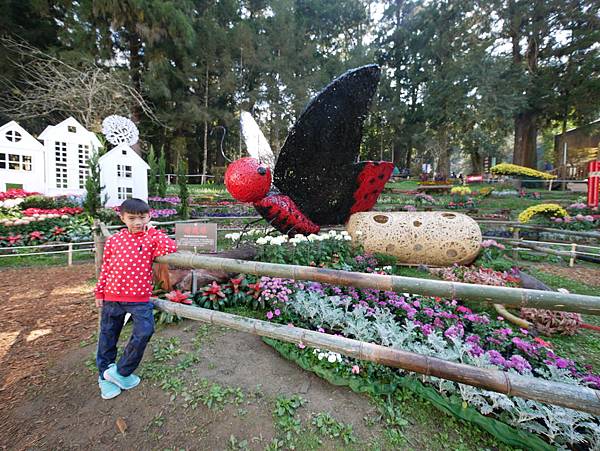 P1030789.JPG