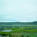 P1100440.JPG