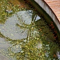 IMG20191021115434.jpg