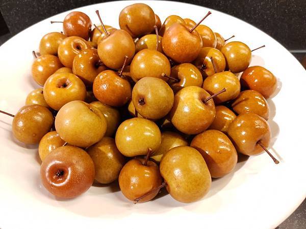IMG20191116063026.jpg
