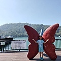 IMG20191116112900.jpg