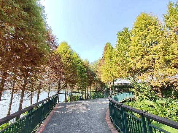 IMG20191116121852.jpg
