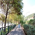 IMG20191116121945.jpg