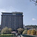 IMG20191116122623.jpg